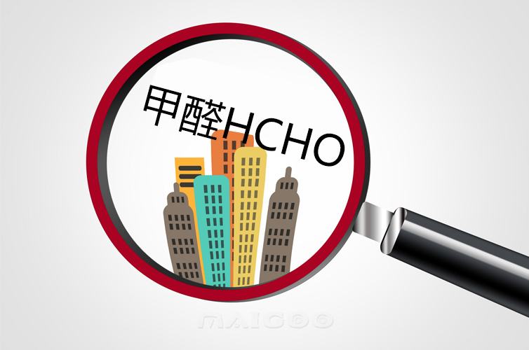 甲醛91看片在线观看